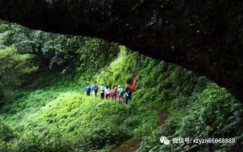 小猫钓鱼正版下载中文版